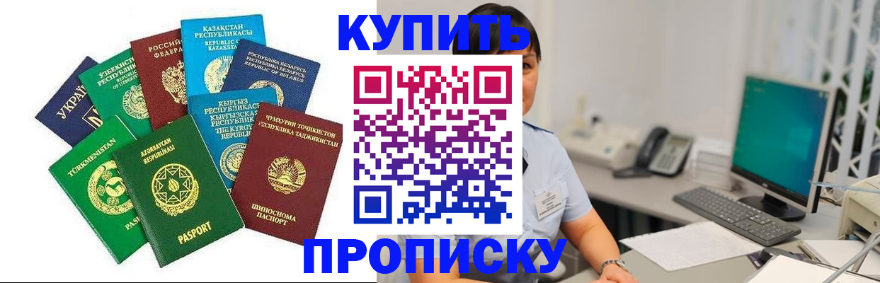 прописка в Чудово